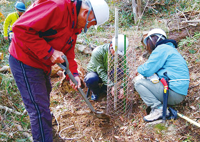 ECOWAY Green Forest: Forest maintenance activities