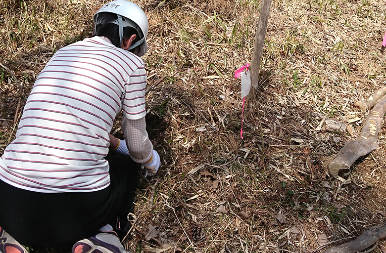 恒例のECOWAYの森 森林整備活動に参加しました