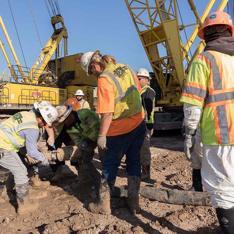 Cranes in action