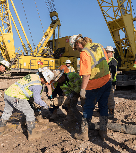 Cranes in action